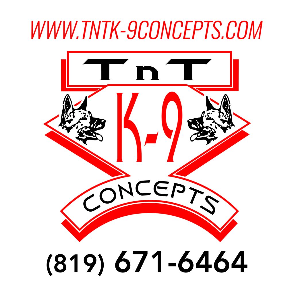 TNT-LOGO