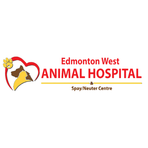 Edmonton-West-Animal-Hospital